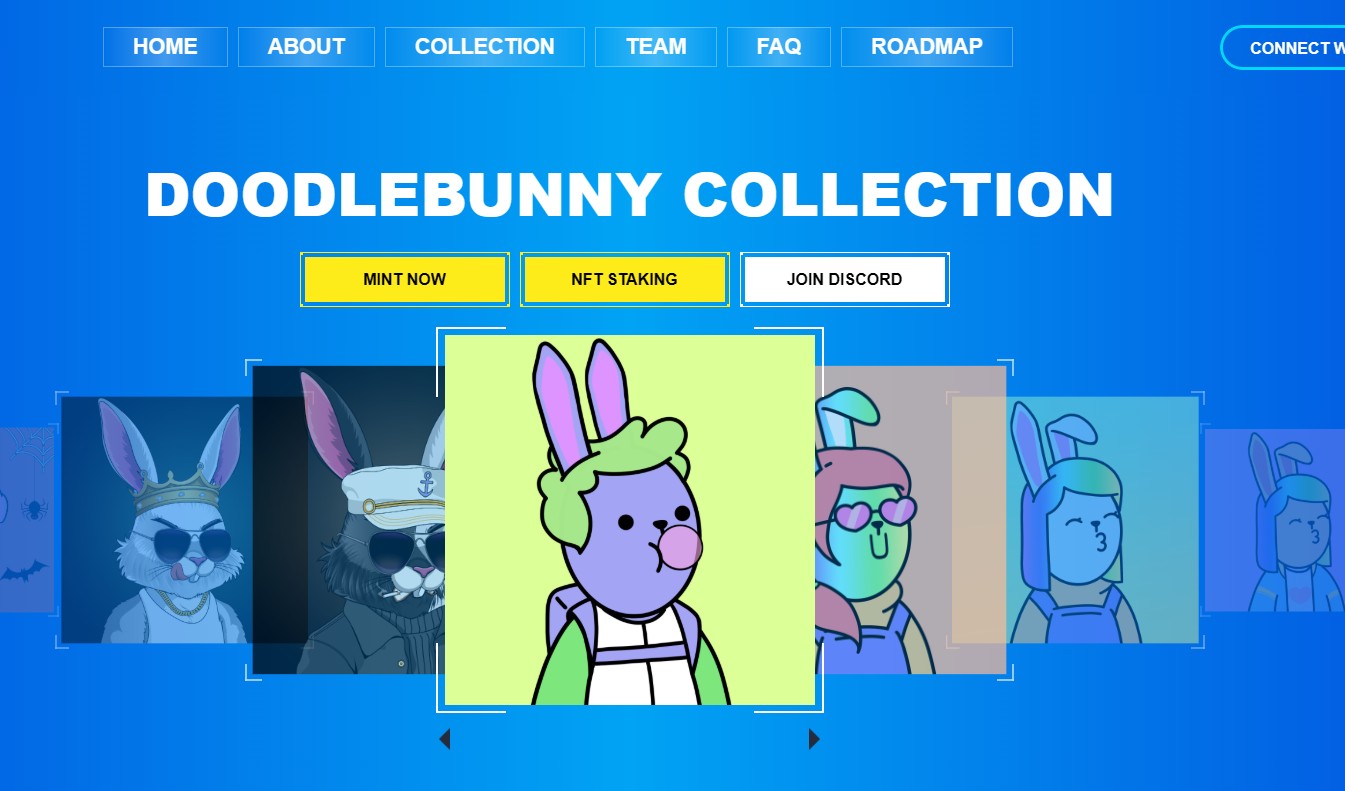 DoodleBunny Collection