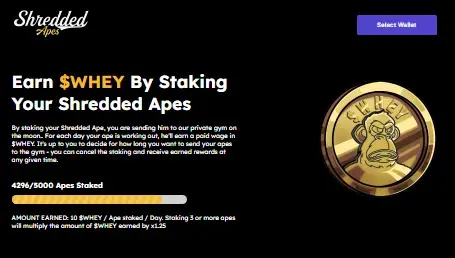 Solana NFT Staking Website